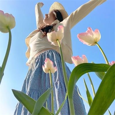 菠萝蜜之谜