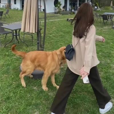 恋爱指南我指北