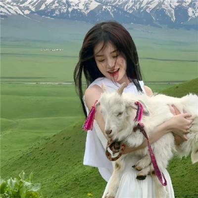 我的英雄学院第七季